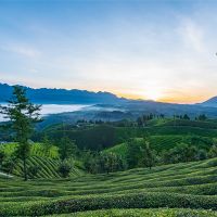 500萬噸/年！湖北儲(chǔ)量約1.12億噸建筑用花崗巖礦擬掛牌出讓